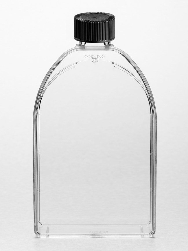 Corning Cell Culture Treated Flasks, Kap